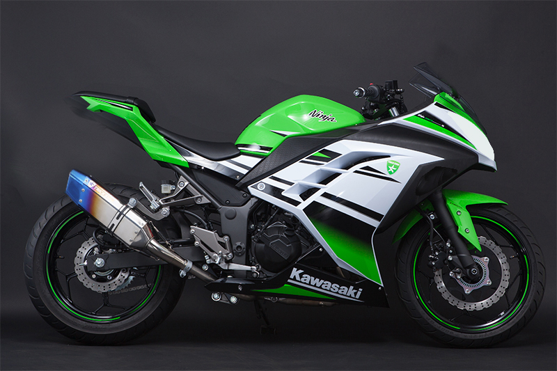 Ninja250(13-17)レーシングスリップオンマフラーIKAZUCHIショート