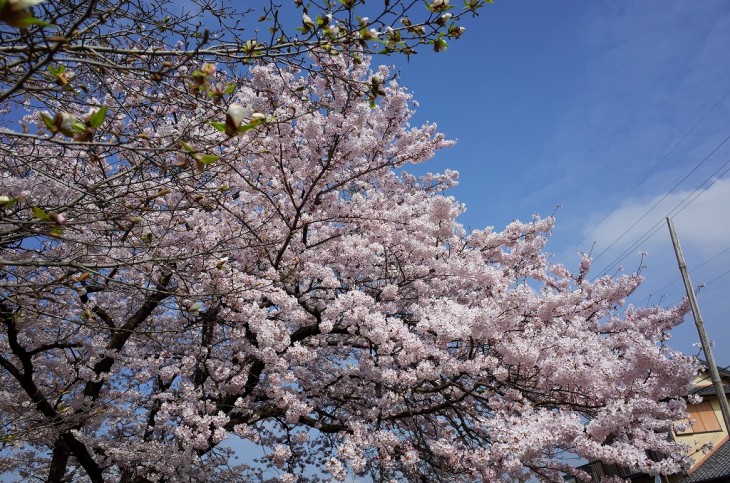 R0003507