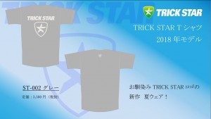 Tシャツ　ST-002-グレー