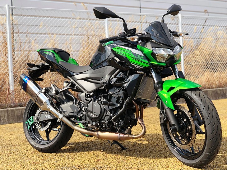 Z250,400(19)